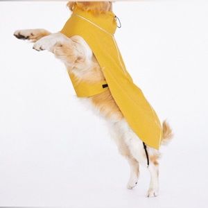 Zara Doggie Raincoat